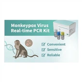 Monkeypox Virus Real Time PCR